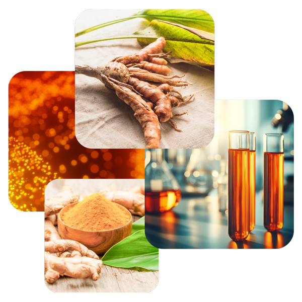sample-of-ingredients