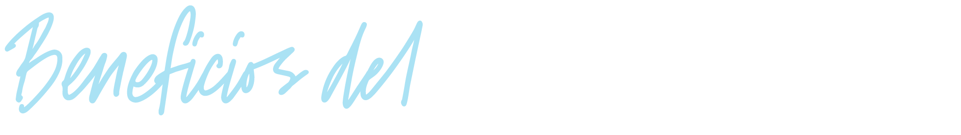 wellnesship benefits SPANISH